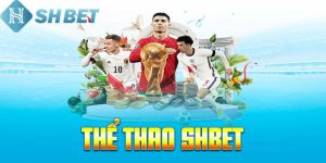 Thể thao Shbet - Sân chơi cá cược trược tuyến uy tín, chất lượng 14 Tìm hiểu sơ lược về thể thao Shbet